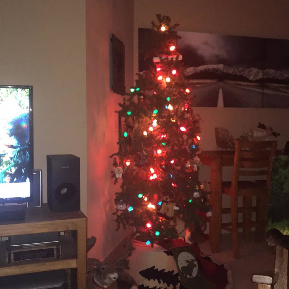 Meet your Posher, Colleen